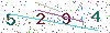 web code