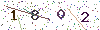 web code