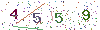web code