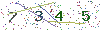 web code