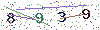 web code