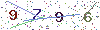 web code