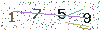 web code