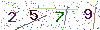 web code
