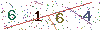 web code