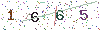 web code