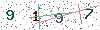 web code