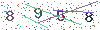web code
