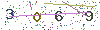 web code