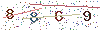 web code
