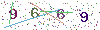 web code