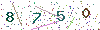 web code