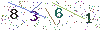 web code
