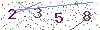 web code