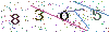 web code
