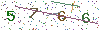 web code
