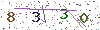 web code