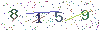 web code