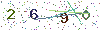 web code