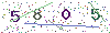 web code