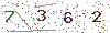 web code