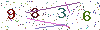 web code