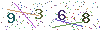 web code