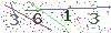 web code