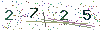 web code