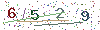 web code