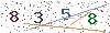 web code