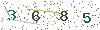 web code