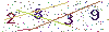 web code