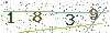 web code