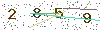 web code