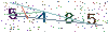 web code