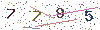 web code