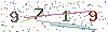 web code