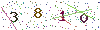 web code