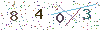 web code