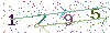 web code