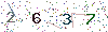 web code
