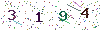 web code