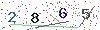 web code