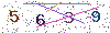 web code