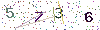 web code