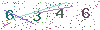 web code