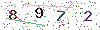 web code