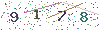 web code