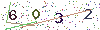 web code